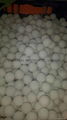 washing rubber ball 48mm  3