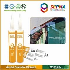One Component MS Sealant for Construction Joint Sealing