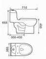Barana hot selling one piece toliet 4