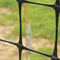 Plastic bi-oriented deer fence net 3