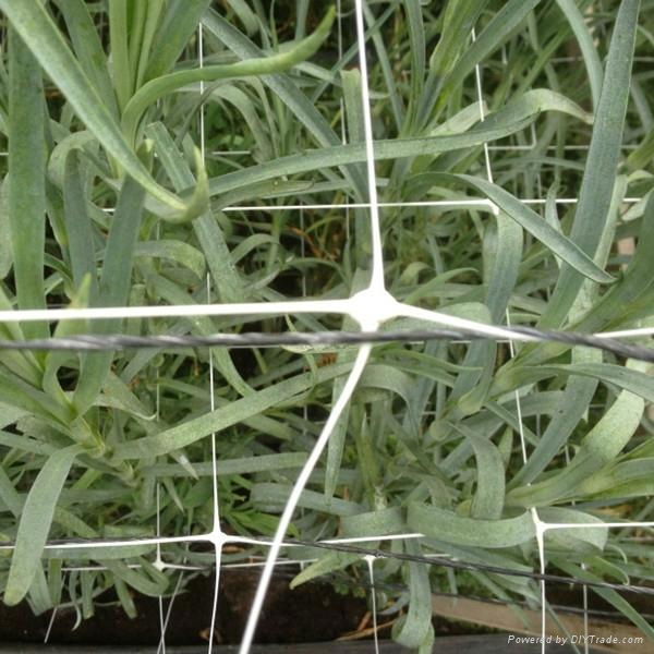 Green plant support trellis net 5