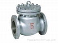 Check valve 1