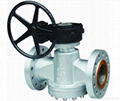 Plug valve 1