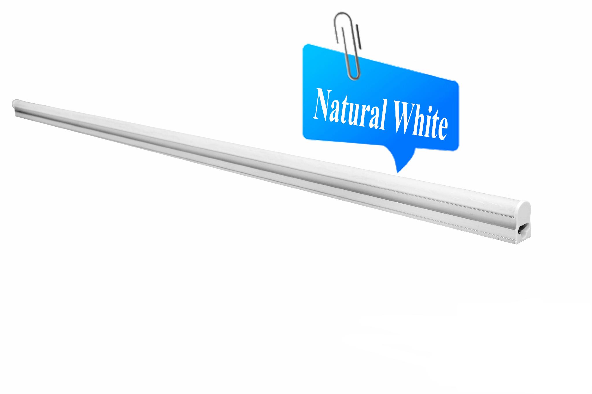 Led Tube Lights 9650787998 Forus Electric (India Manufacturer