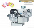 Full Automatic Single Twist Packing Machine 1