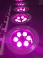 廠家直銷紫色光led投光燈5W 1