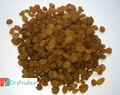 sultana raisins 1