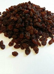 Sun Dried Raisins