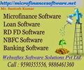 Microfinance Software