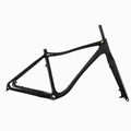 SunRay Carbon Fiber Frameset Farbike