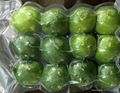 Seedless Lime  2