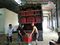 Dragon Fruit From Viet Nam ( 00 84 905