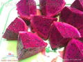 Dragon Fruit From Viet Nam ( 00 84 905 179759) 2