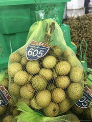 Longan fruit from Vietnam