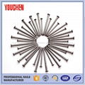 1"-6" inches common round wire nails from China