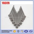 1"-6" inches common round wire nails from China 3