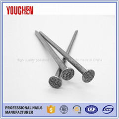 Professional nails manufacturer common wire nails