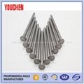 China manufacturer products polished common wire nails 2