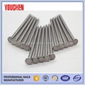 China manufacturer products polished common wire nails 3