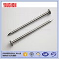 China manufacturer products polished common wire nails 1