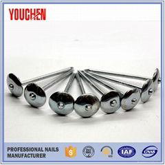 China manufacturer hot sale roofing umbrella nails