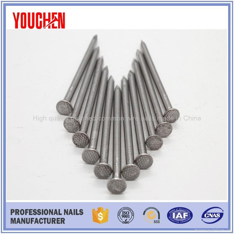 China factory wholesale price common wire nails