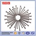 1'-6' common roofing iron nails supplies