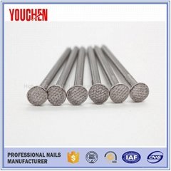 Common round wire nails supplies from China
