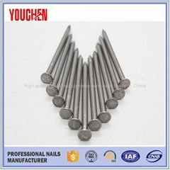 Low price common wire nails made in China