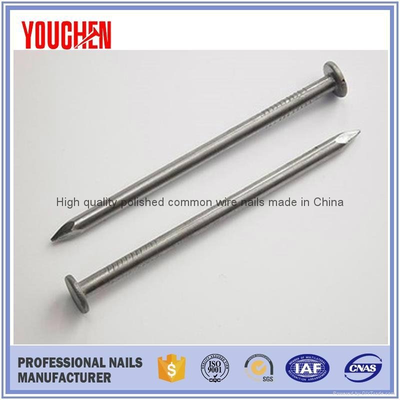China 2017 new products common round wire nails 2