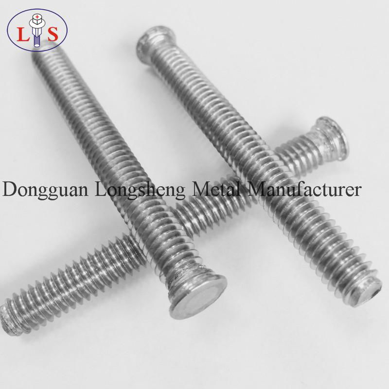 High quality stainless steel clinching screw 