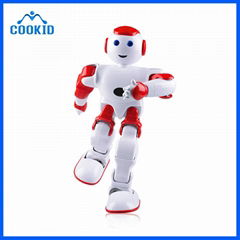 Educational Humanoid Robot 3D visual