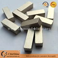 Buy diamond segments from China reputable diamond segments manufacturers 1