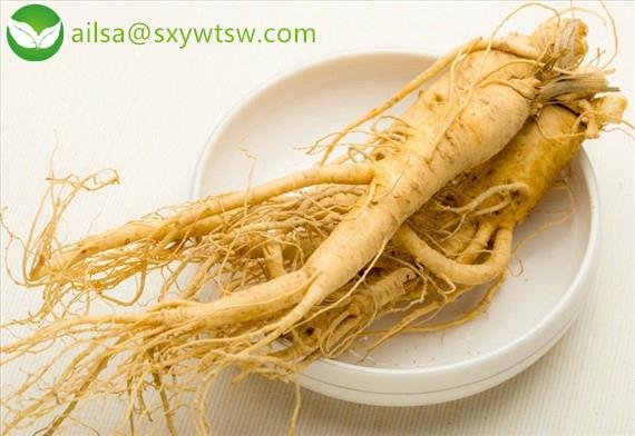 ginseng extract 2