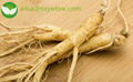 ginseng extract 3