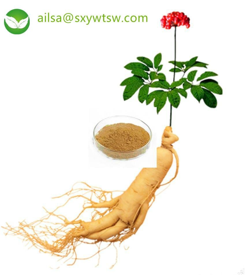 ginseng extract 5