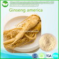ginseng extract 1