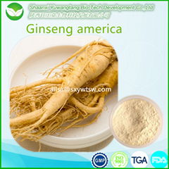 ginseng extract