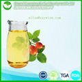 Rosehip Oil