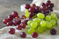 cold pressed grape seed oil 4