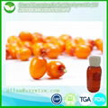  Sea buckthorn fruit oil 1