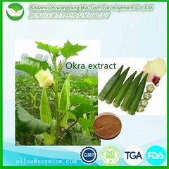 100% pure natural health plant extract