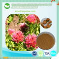 Organic rhodiola rosea extract 1