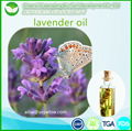 lavender oil