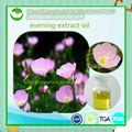 Evening Primrose Seed Oil 1