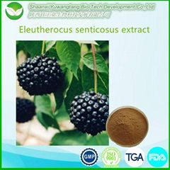  Siberian Ginseng Extract