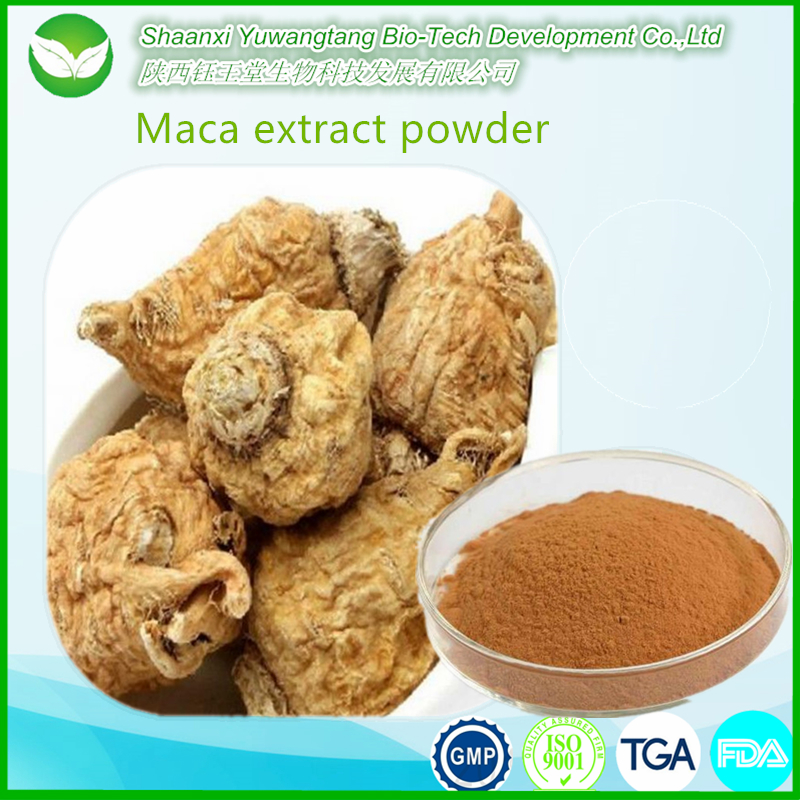  Maca extract