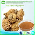 Maca extract