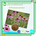 Echinacea Extract 1