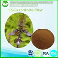 Coleusforskohlii Extract 1